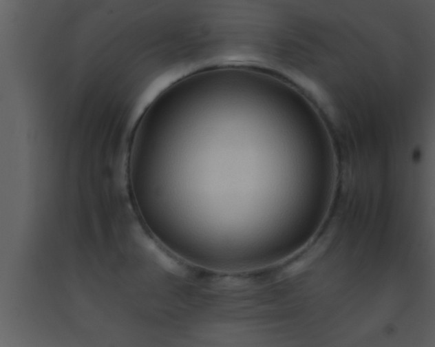 X0000093511374200710191301