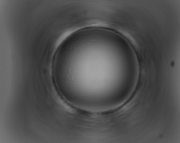 X0000093511375200710191301