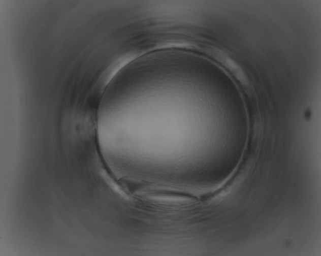 X0000093511377200710191301