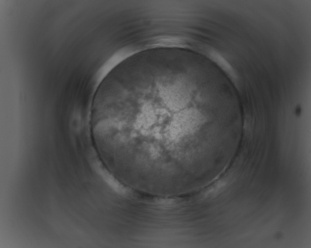 X0000093511378200710191301