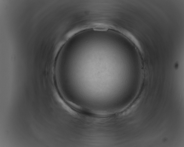 X0000093511381200710191301