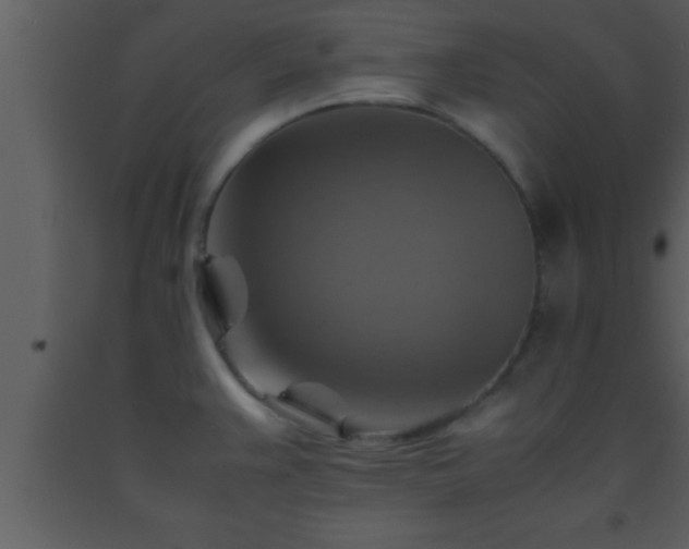 X0000093511383200710191301