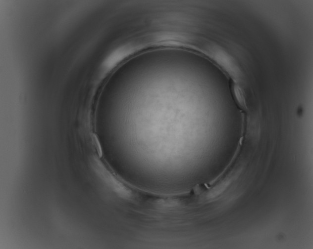 X0000093511384200710191301
