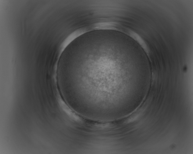 X0000093511386200710191301