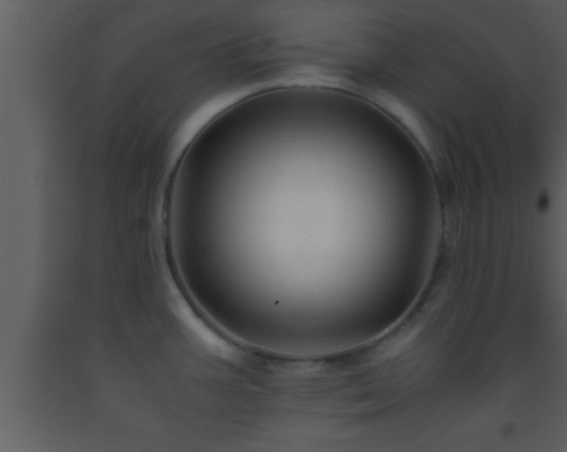 X0000093511387200710191301
