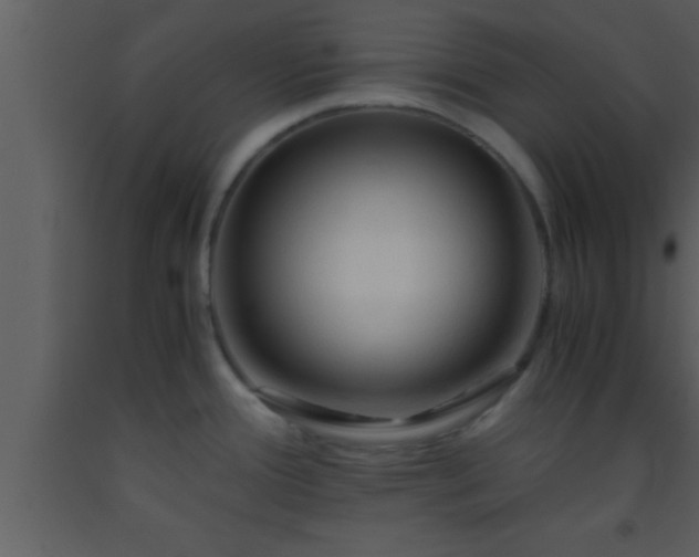 X0000093511388200710191301