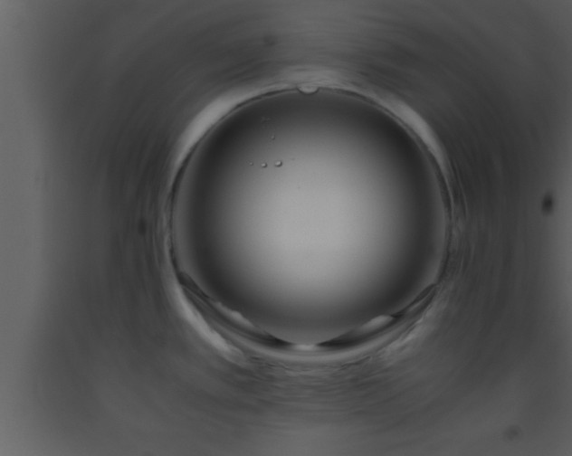 X0000093511389200710191301