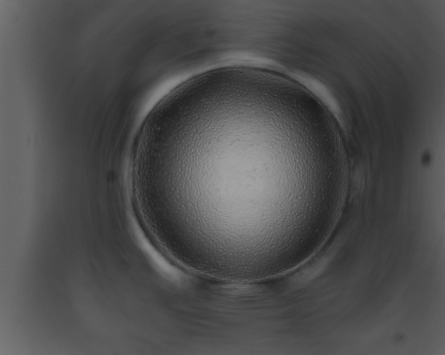 X0000093511391200710191301