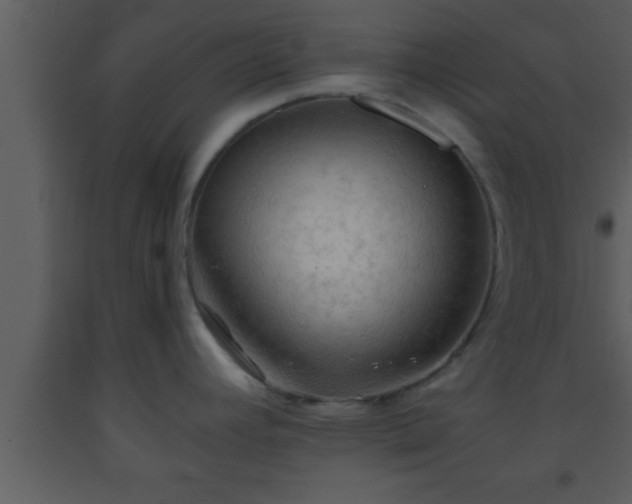 X0000093511392200710191301