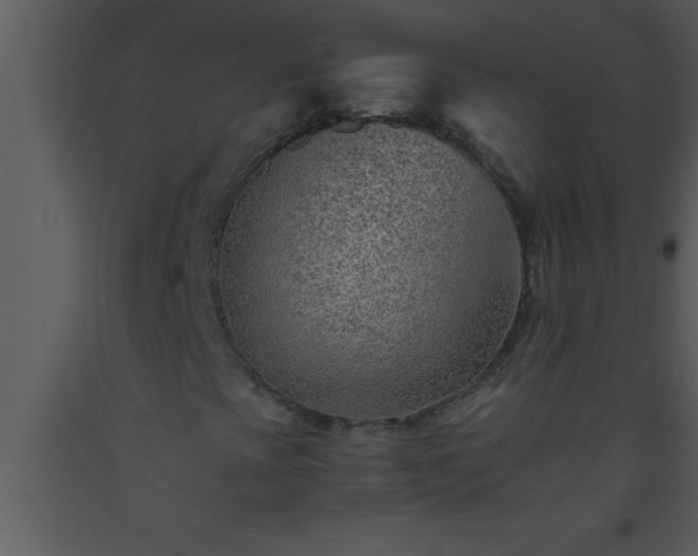 X0000093511393200710191300