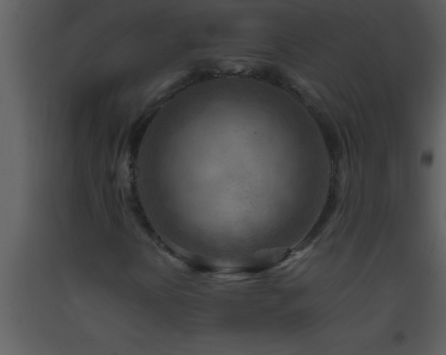 X0000093511394200710191300