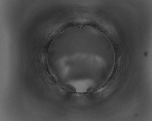 X0000093511397200710191300