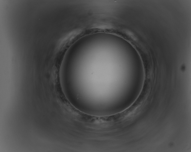 X0000093511398200710191300