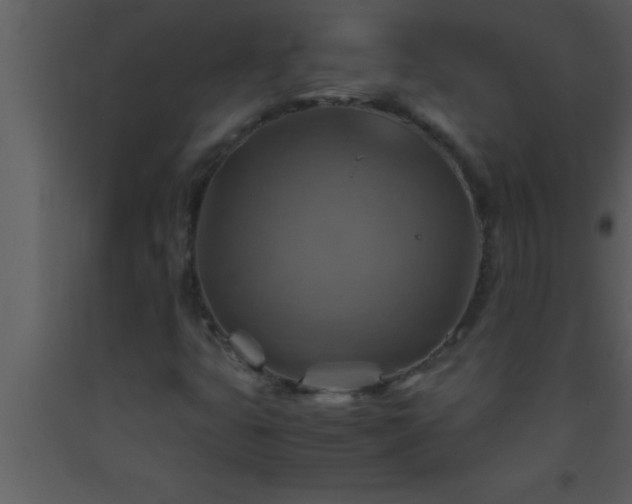 X0000093511399200710191300