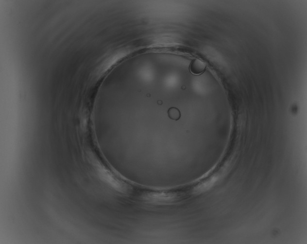 X0000093511401200710191300