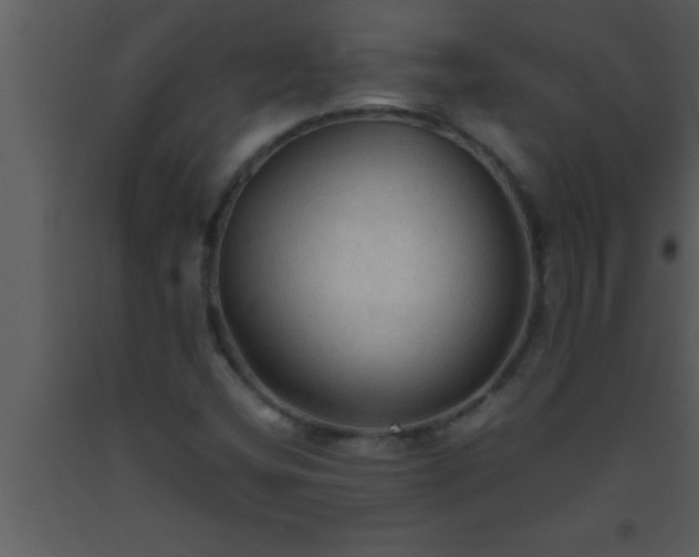 X0000093511404200710191300