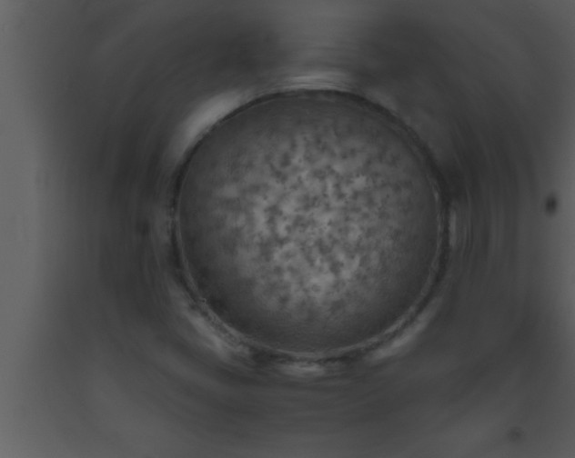 X0000093511405200710191300