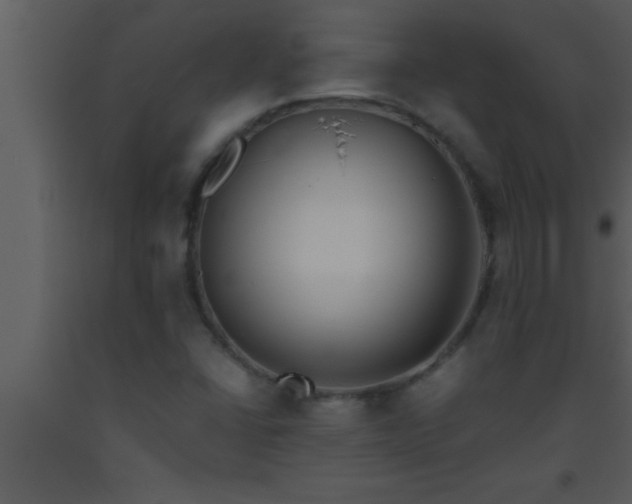 X0000093511406200710191300