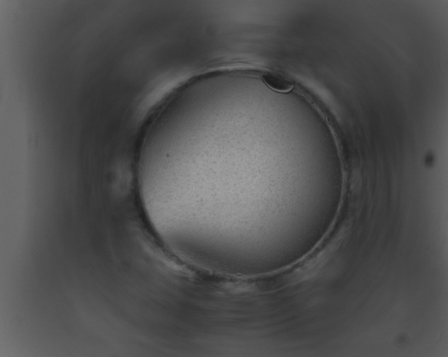 X0000093511407200710191300