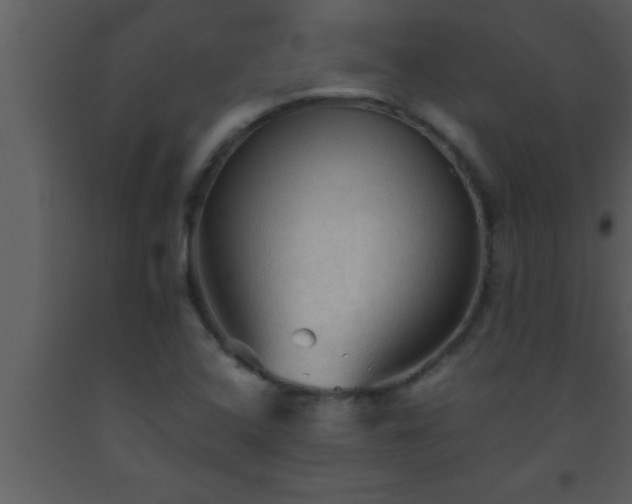 X0000093511408200710191300