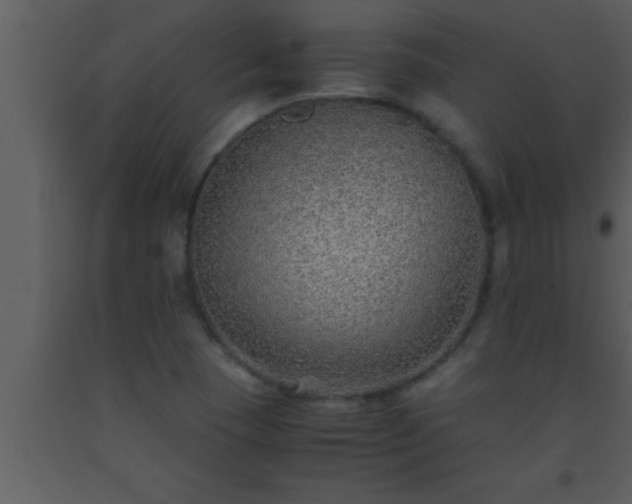 X0000093511409200710191300