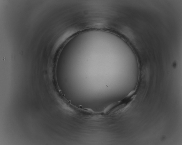 X0000093511410200710191300