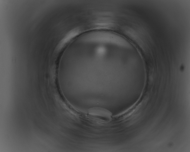 X0000093511411200710191300