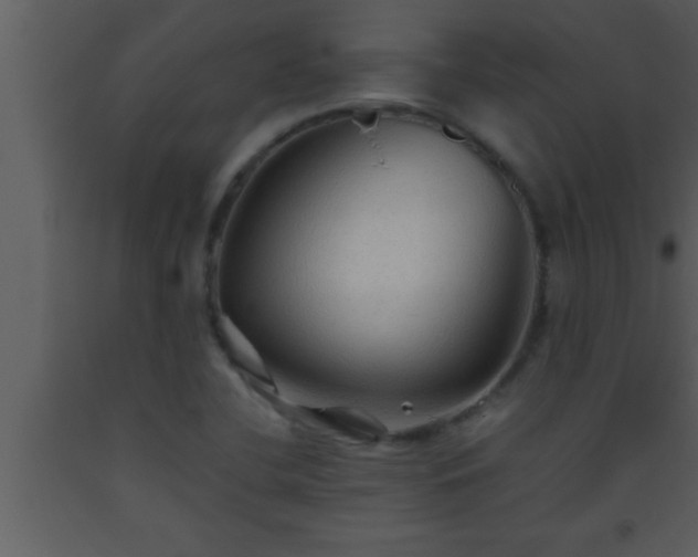 X0000093511412200710191300