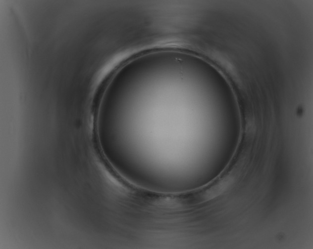 X0000093511414200710191300