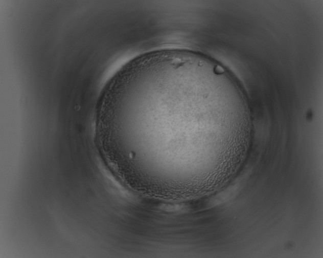 X0000093511415200710191300
