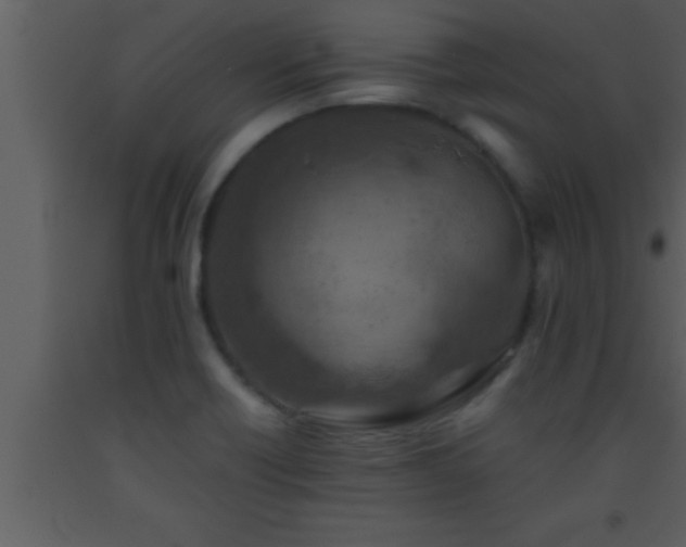 X0000093511418200710191300