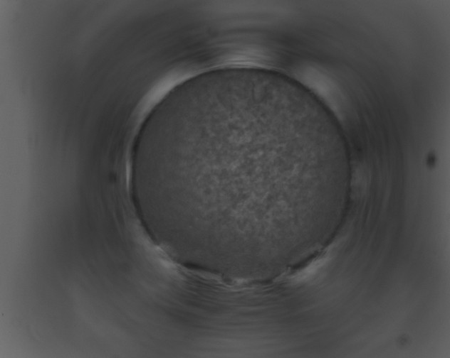 X0000093511419200710191300