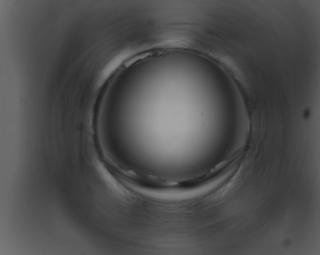 X0000093511422200710191300