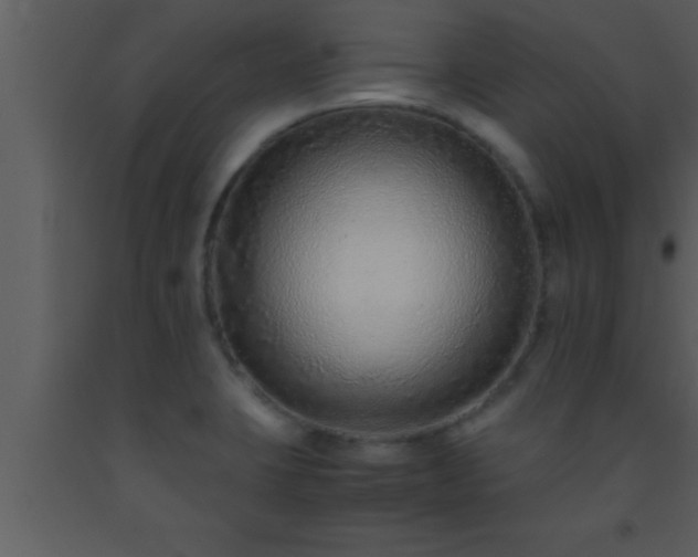 X0000093511423200710191300