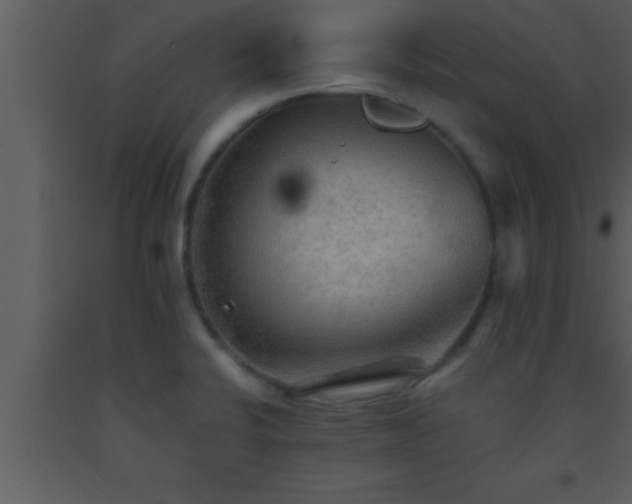 X0000093511424200710191300