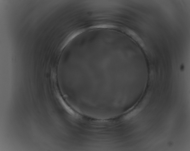 X0000093511425200710191300