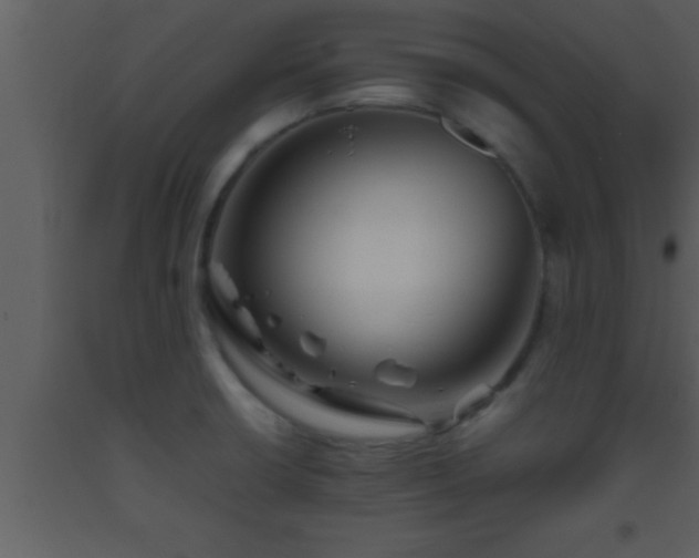 X0000093511426200710191300