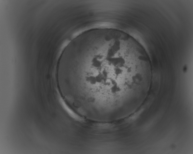 X0000093511429200710191300