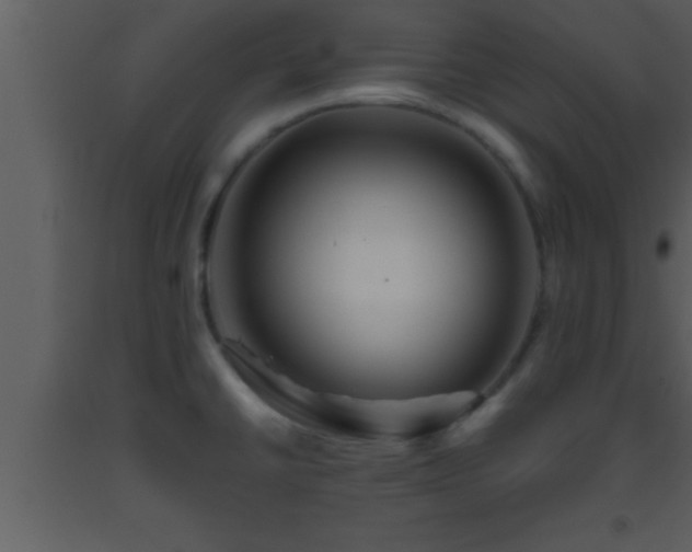 X0000093511430200710191300