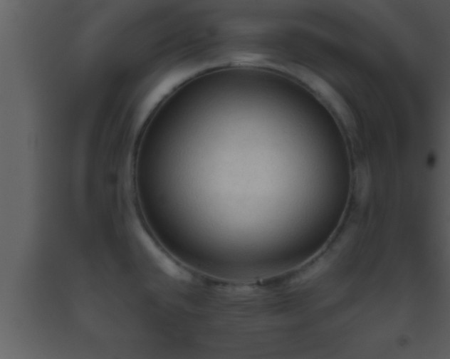 X0000093511432200710191300