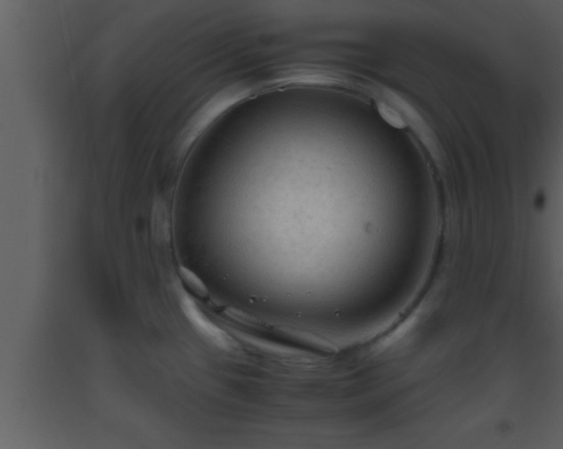 X0000093511433200710191300