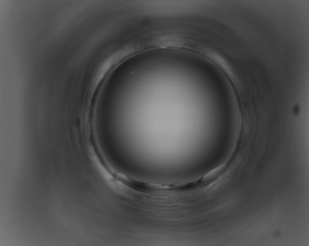 X0000093511434200710191300