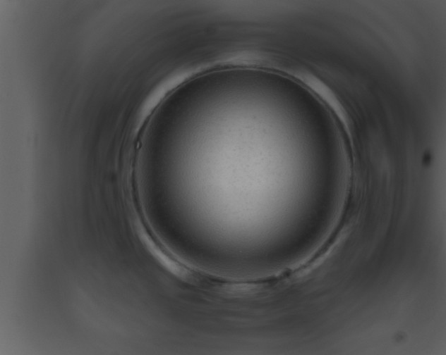 X0000093511437200710191301