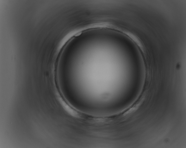 X0000093511438200710191301