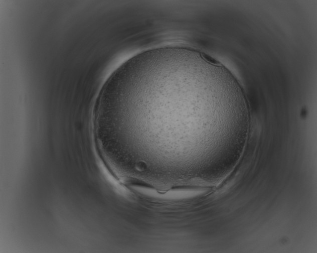 X0000093511439200710191301