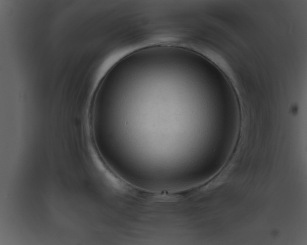 X0000093511440200710191301