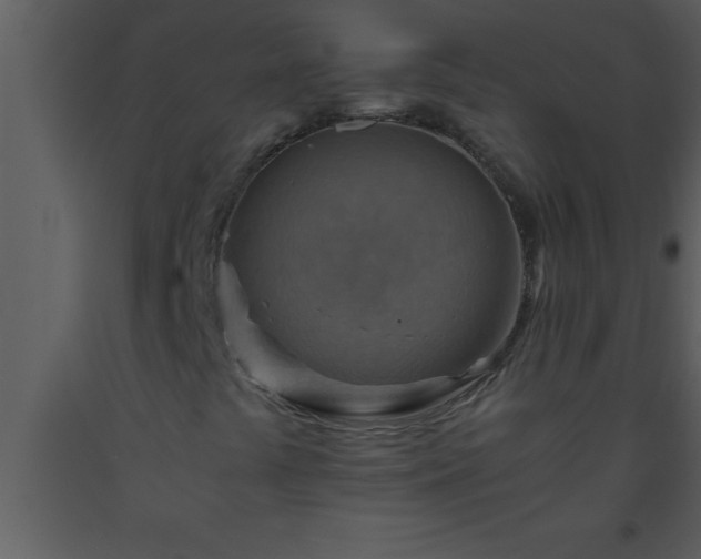 X0000093511441200710191300