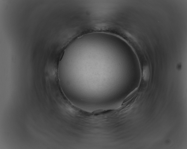 X0000093511444200710191300