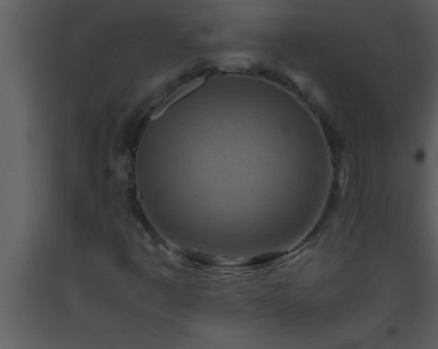 X0000093511445200710191300