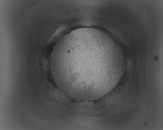 X0000093511446200710191300